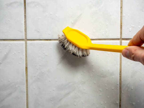 Best Mold Removal Near Me  in Lansdowne, MD